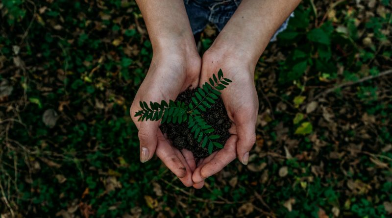 noah-buscher-x8zstuks2pm-unsplash