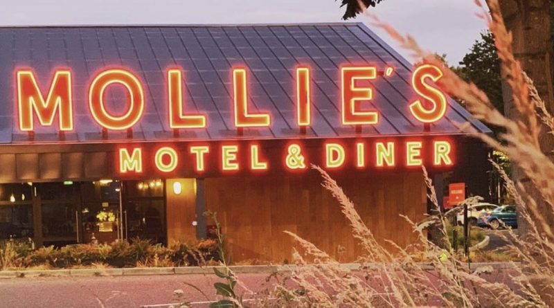 Mollie’s announces expansion plans