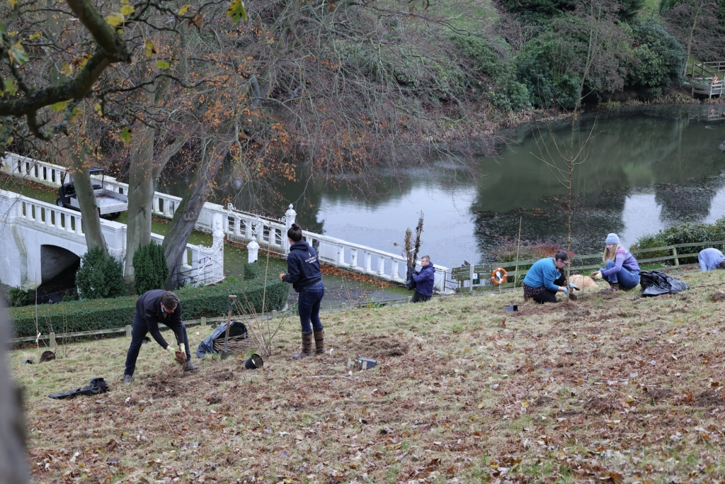 Raithwaite Sandsend creates hotel forest garden
