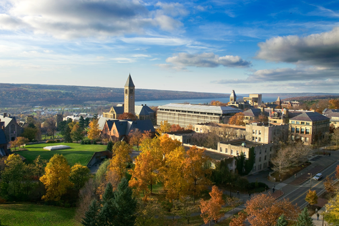 Innholder Scholarships